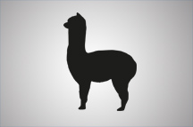 Alpaca Communications