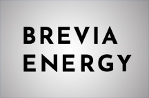 Angela Love joins Brevia Energy