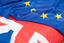 EU Referendum Bill: 2nd reading in House of Lords