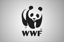 WWF