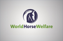 World Horse Welfare